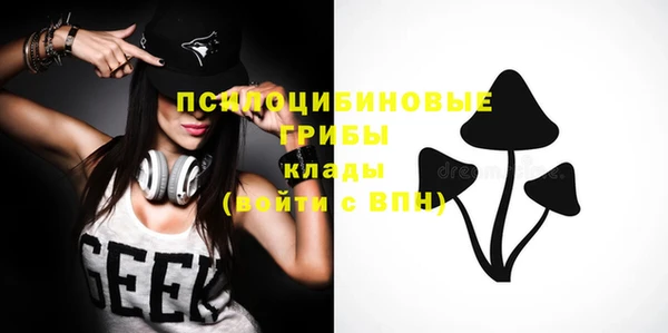 ПСИЛОЦИБИНОВЫЕ ГРИБЫ Арсеньев