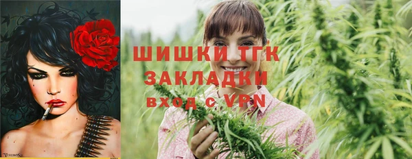 ешки Аркадак
