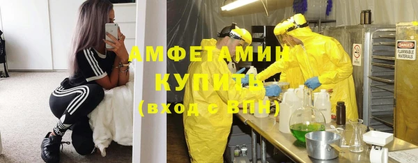 ПСИЛОЦИБИНОВЫЕ ГРИБЫ Арсеньев