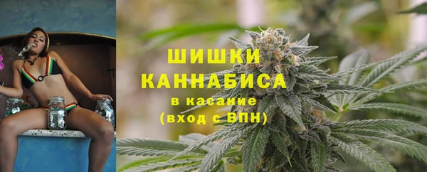 ПСИЛОЦИБИНОВЫЕ ГРИБЫ Арсеньев