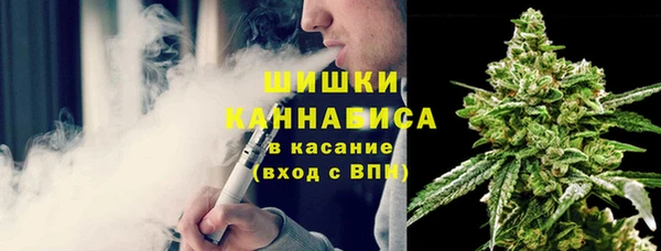 ПСИЛОЦИБИНОВЫЕ ГРИБЫ Арсеньев