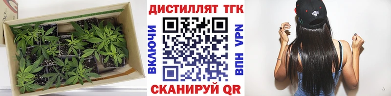 как найти Баксан darknet телеграм Дистиллят ТГК THC oil